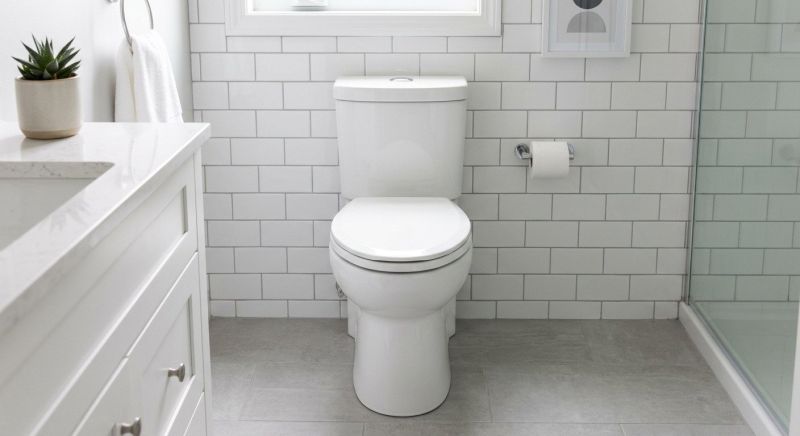 Broken Toilet Repair in Denver, CO