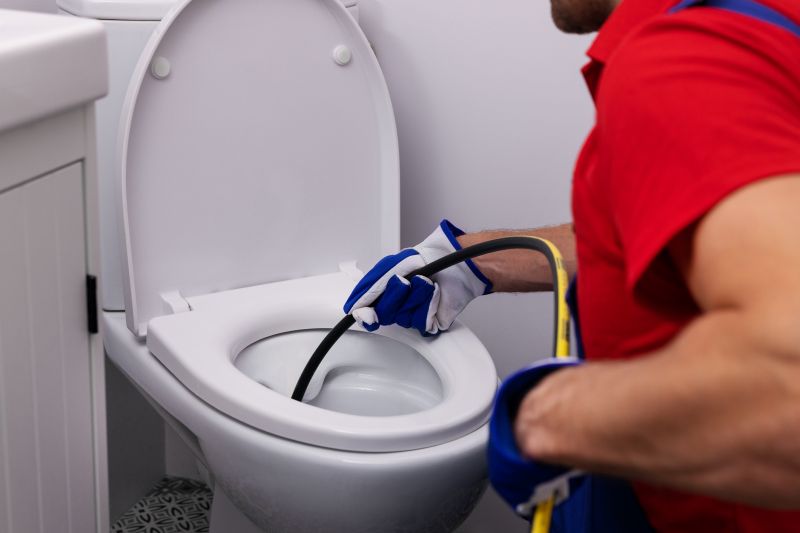 Toilet Clearing in Denver, CO